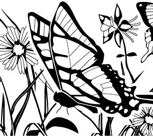 Clearsnap - Rollagraph - Design Wheel - Jumbo - Butterfly Garden