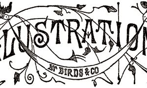 Clearsnap - Rollagraph - Design Wheel - Jumbo - Birds