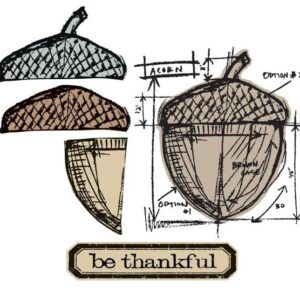 Sizzix - Tim Holtz - Framelits - Acorn Blueprint (5 Pieces; 3 Stamps)