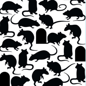 Darice - Embossing Folder - Mice & Door