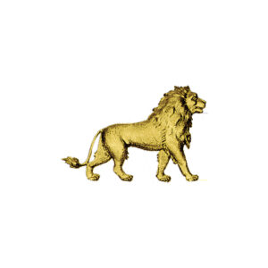 Gary Burlin - Embossed Colored Foils - Lion