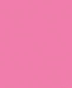 8.5"x11" Cardstock (65lb) - Pulsar Pink - 1lb