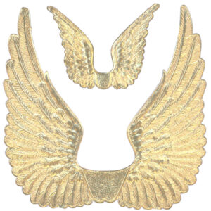 Gary Burlin - Embossed Colored Foils - Angel Wings (Assorted)