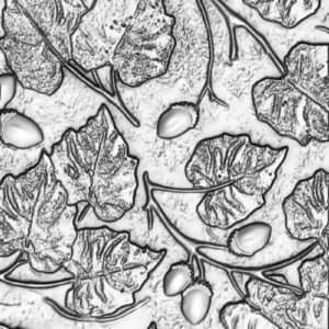 Sizzix - Tim Holtz - 3D Texture Fades Embossing Folder - Acorns