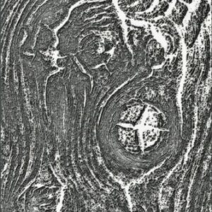 Sizzix - Tim Holtz - 3D Texture Fades Embossing Folder - Woodgrain