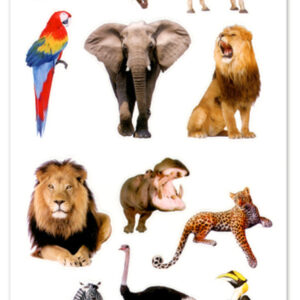 MultiCraft - Forever in Time - Paper Craft Stickers - Safari