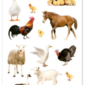 MultiCraft - Forever in Time - Paper Craft Stickers - Farm Animals