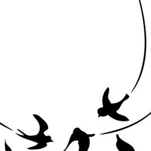 Darice - Embossing Folder - Birds in Flight