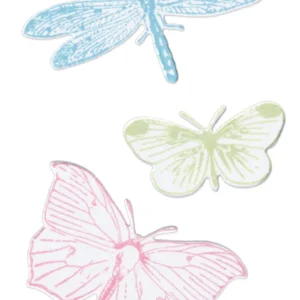 Sizzix - 49 and Market - Clear Stamps with Framelits Die Set - Engraved Wings (6 Pieces)