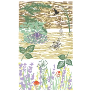 Sizzix - Vic Hollins - Clear Stamps Set with Stencils - Nature (20 Pieces)