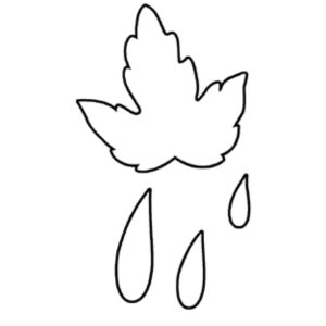 Polyform - Donna Dewberry - Studio by Sculpey - Shape Makers - Leaf Set III