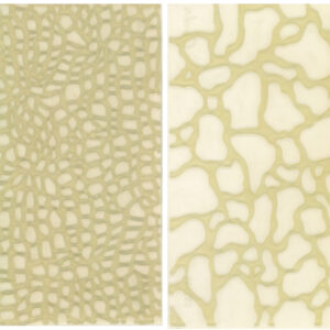 Polyform - Donna Dewberry - Studio by Sculpey - Texture Makers - Nature Walk