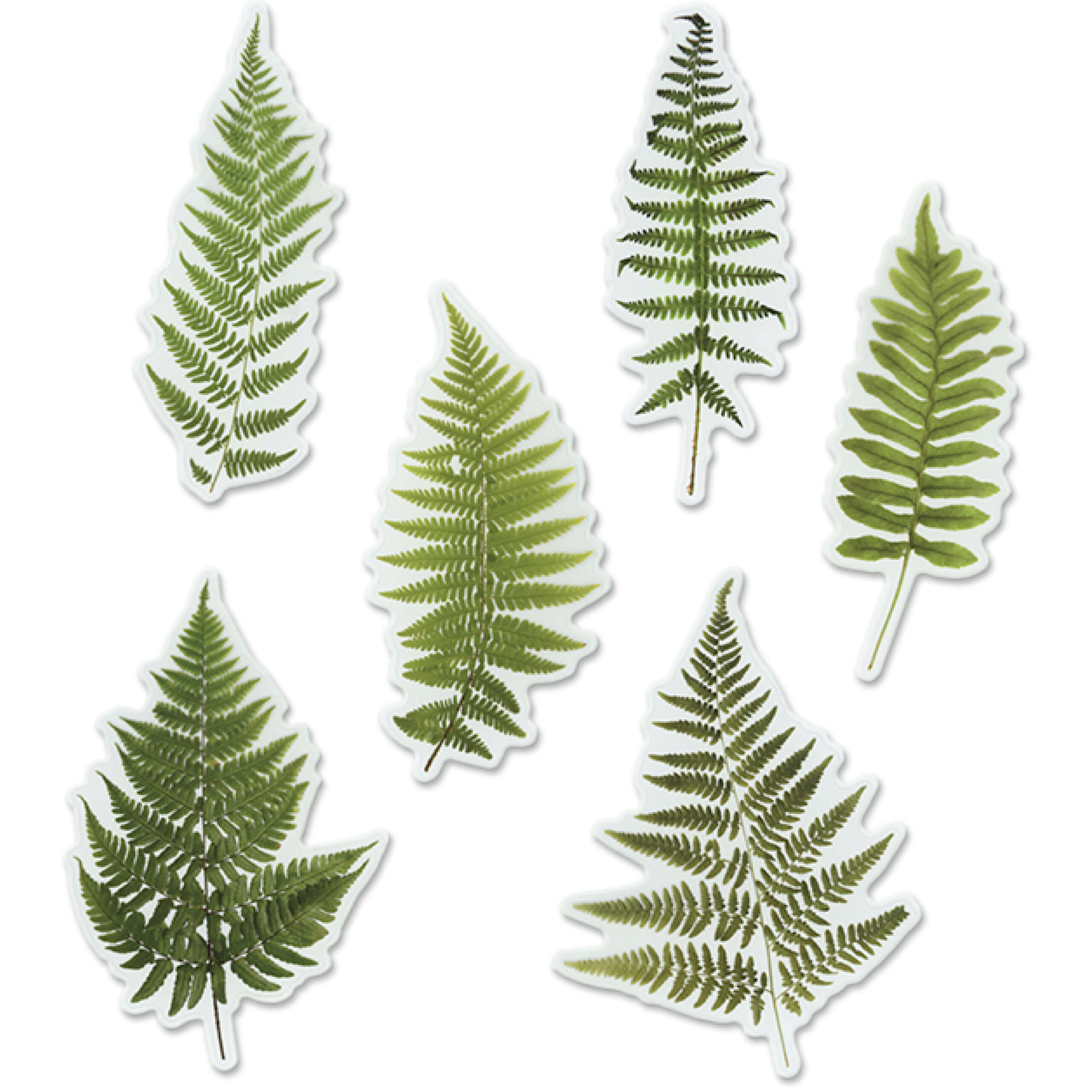 MultiCraft - Forever in Time - Floral Flair Die Cuts - Fern
