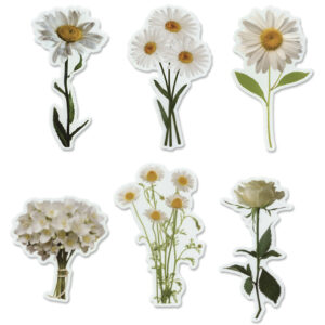 MultiCraft - Forever in Time - Floral Flair Die Cuts - Pure