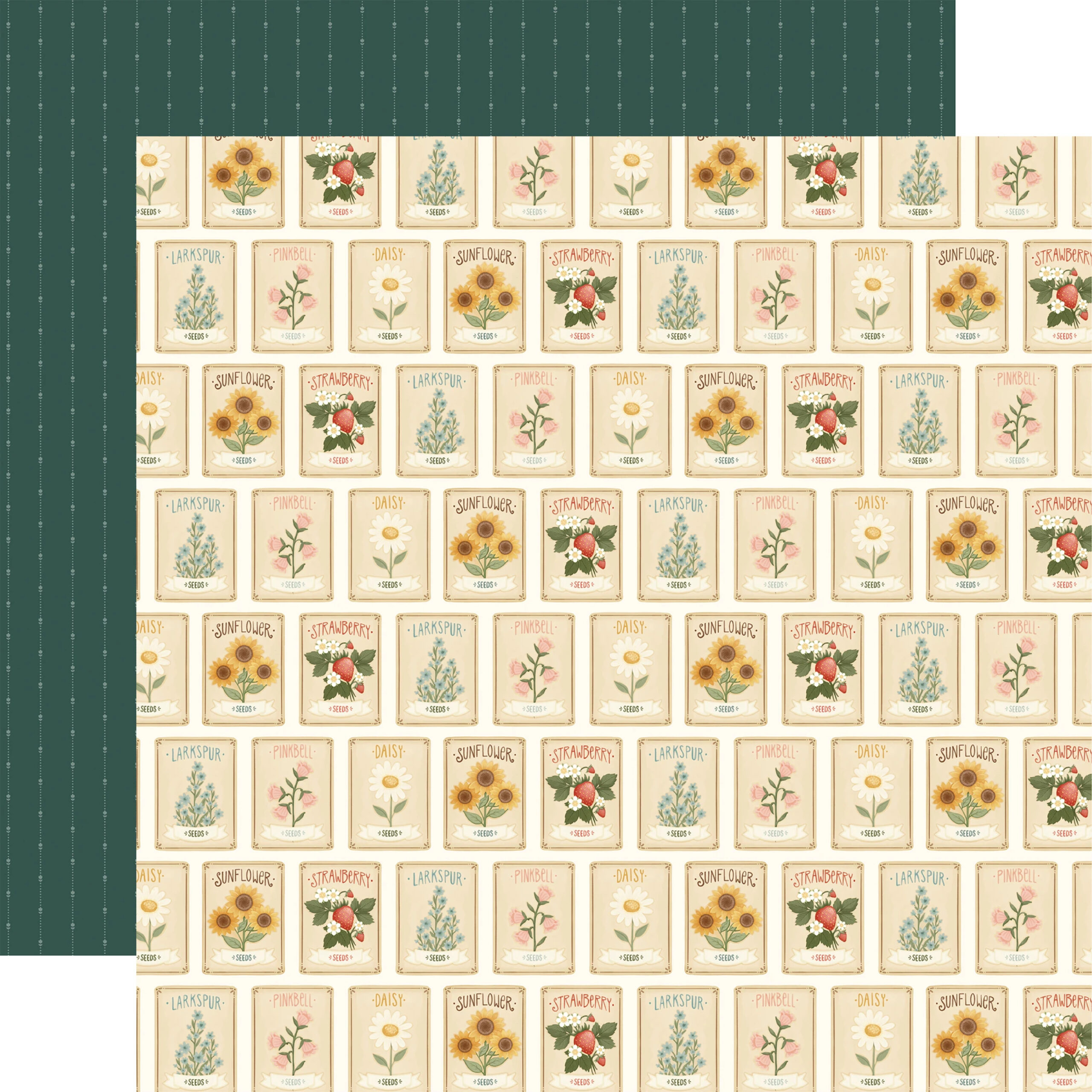 Echo Park - Home Sweet Home - Collection Kit - Image 4